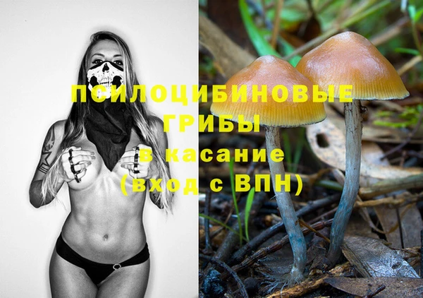 винт Гусь-Хрустальный
