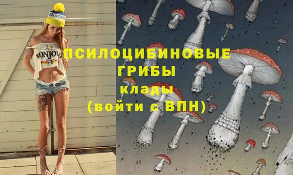 соль курить ск Горнозаводск